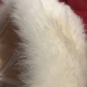Tuscan Fur | Accessories | Super Cute Tuscan Lamb Fur  display picture 3